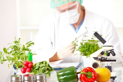 Esta ciencia de los alimentos exige conocimientos en una amplia variedad de materias, entre ellas biología, microbiología, física, química, matemática y estadística