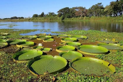 Hoy es el Día Mundial de los Humedales.