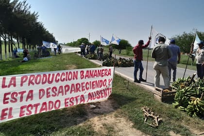 Hoy hasta este mediodía, los pequeños productores de banana realizan una manifestación a la vera de la ruta nacional 86, en el acceso al pueblo, para visibilizar la profundidad de la crisis que atraviesan