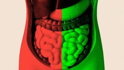 Hoy la enfermedad inflamatoria intestinal dejó de ser una patología con un solo camino posible