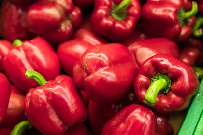 Hoy la producción de Capsicum es veinte veces mayor que la producción del Piper nigrum. La mayoría de los Capsicum que usamos son de la especie annuum. El gen picante es dominante, pero las cruzas y la influencia del ambiente hacen que sea más dulce o más picante.