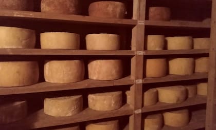 Hoy producen quesos tiernos con 60 días de maduración, semicurados con cuatro meses, curados con seis, viejos con un año y añejos que superan los cuatro años. Entre sus innovaciones destaca la “Tabla Vertical de Quesos de Oveja”, que ofrece un mismo queso en distintos puntos de maduración