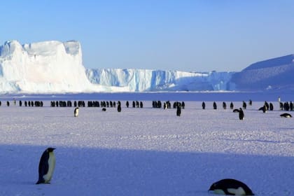 Hoy se celebra el Día de la Antártida