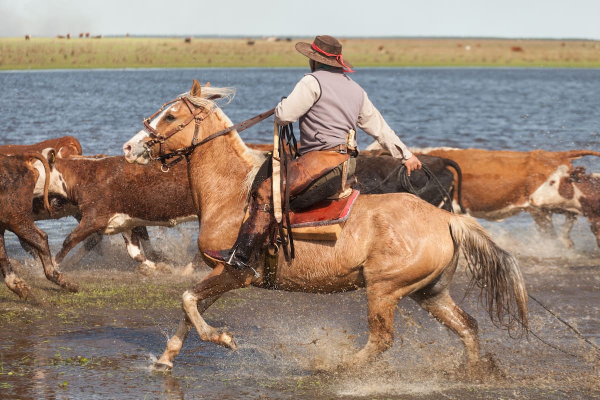 Hoy se celebra el Día del Gaucho en la Argentina