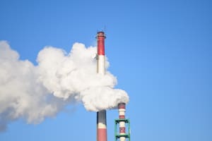 Hoy se celebra el Día Mundial de la Educación Ambiental