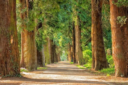 Hoy se celebra el Día Mundial de la Protección de la Naturaleza