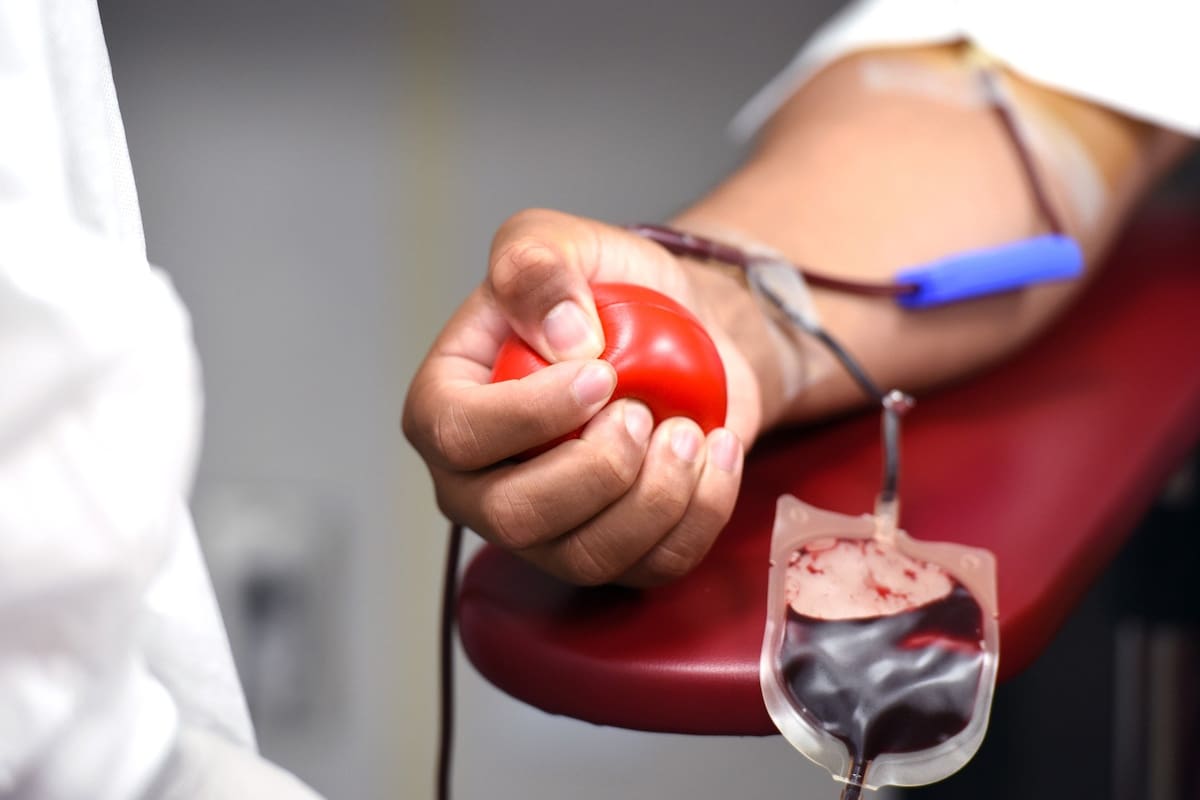 Hoy se celebra el Día Nacional del Donante de Sangre