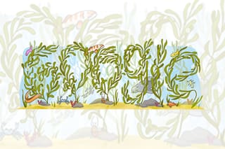 Así es el vibrante doodle que celebra los bosques de algas gigantes del Gran Arrecife del Sur