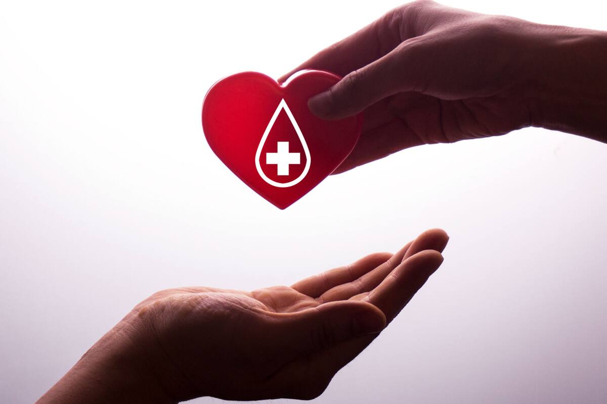 Hoy se conmemora el Día Nacional del Donante Voluntario de Sangre.