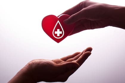 Hoy se conmemora el Día Nacional del Donante Voluntario de Sangre en la Argentina