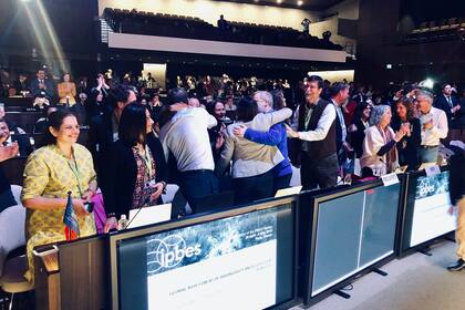 Hoy se da a conocer en París un informe sin precedente sobre el estado de la naturaleza; 145 científicos analizaron 15.000 trabajos y fue aprobado por representantes de más de 130 países