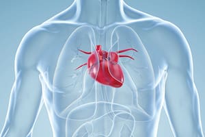 Hoy se recuerda la importancia de la salud cardiovascular