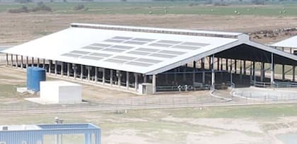 “Hoy tenemos un tambo estabulado con 730 vacas en ordeñe, que producen unos 28.000 litros diarios", cuenta Giraudo