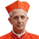 Mario Aurelio Poli