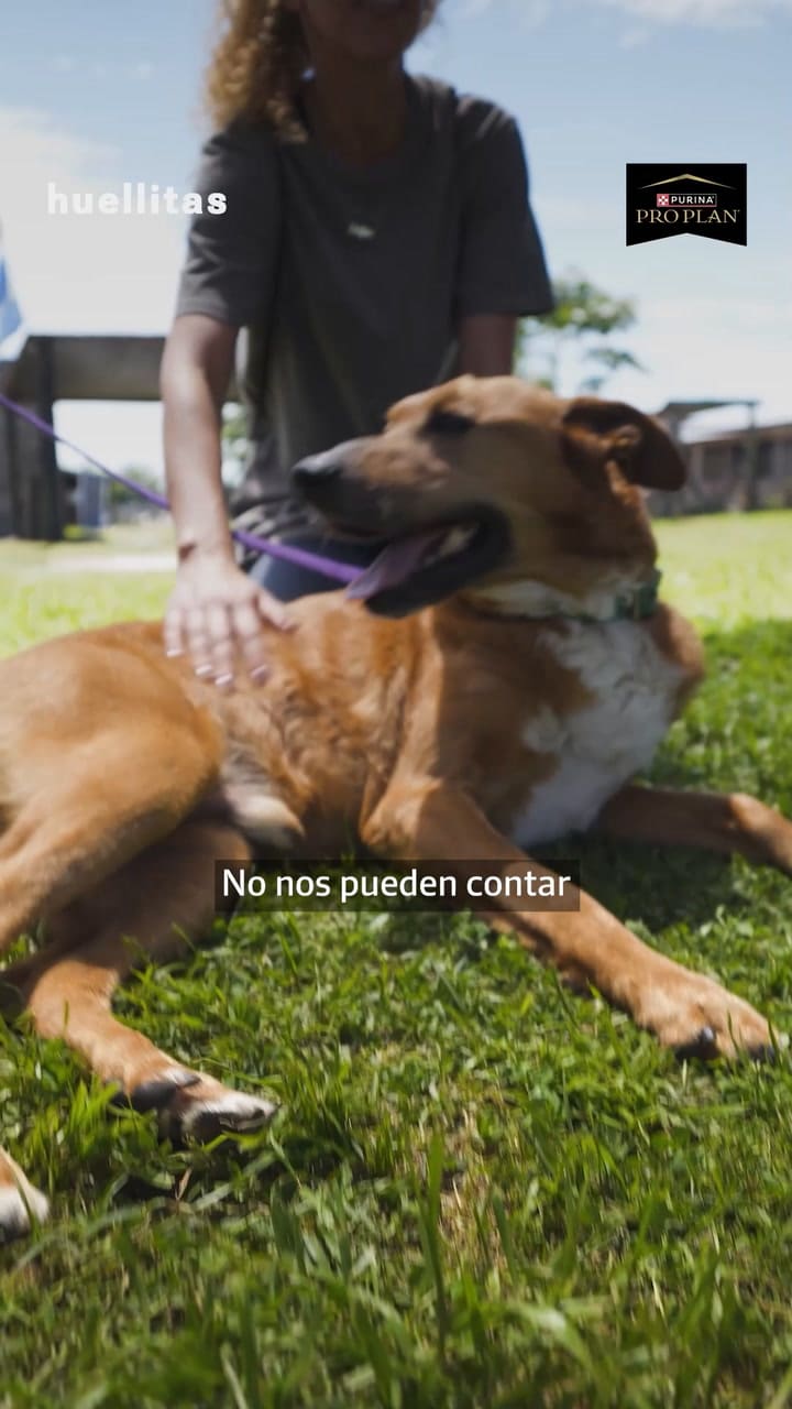 El Campito