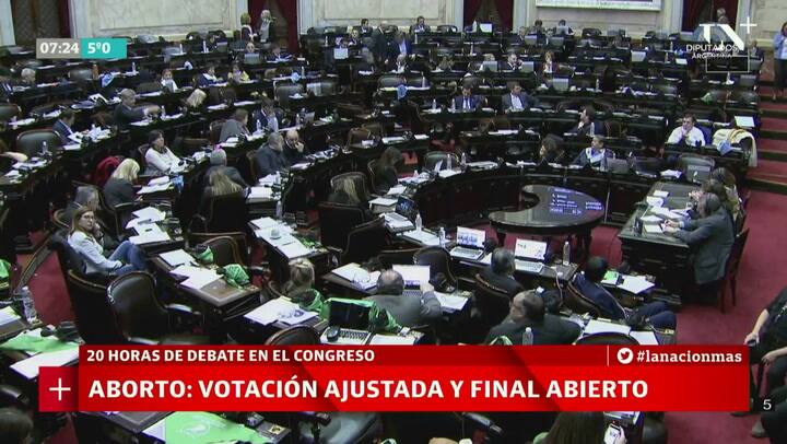 Aborto: la exposición de Silvina Frana