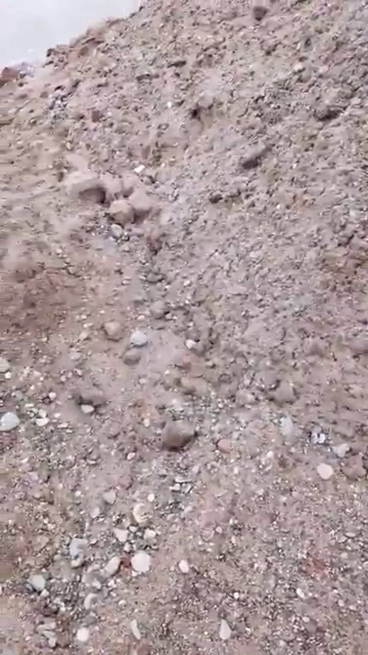 Preocupación en Tucumán: aparecieron decenas de peces muertos en un río