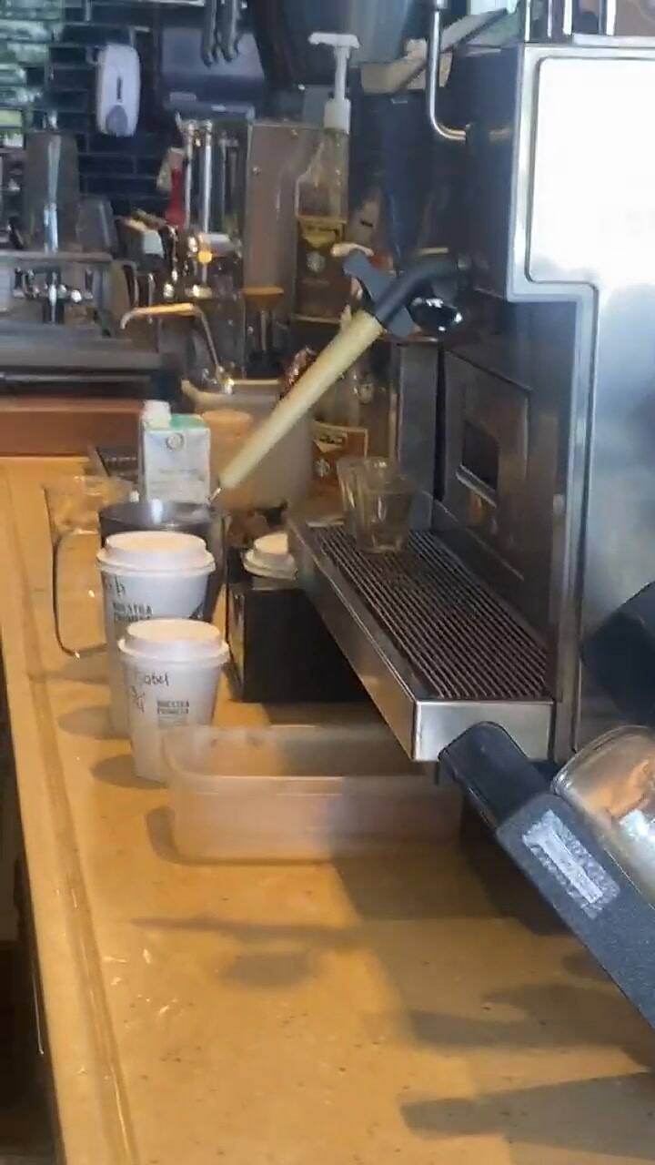 Una tiktoker se encontró con una cucaracha en Starbucks y se volvió viral