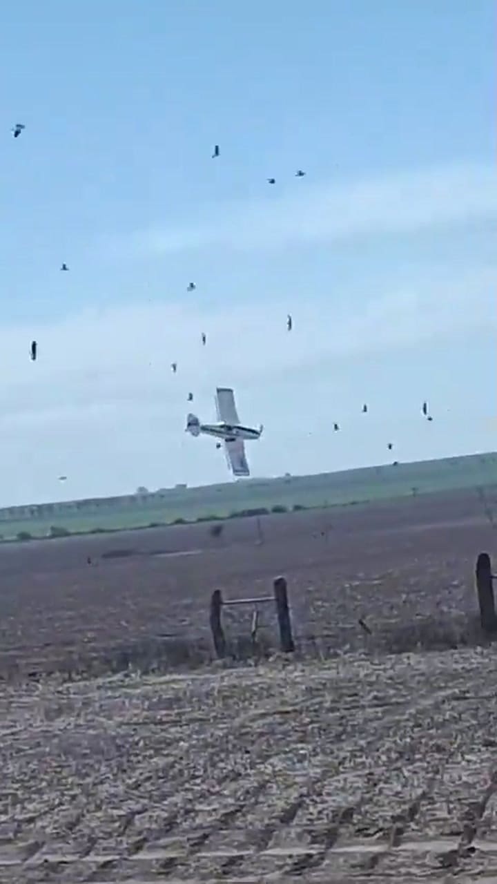 El momento de la caída del avión fumigador