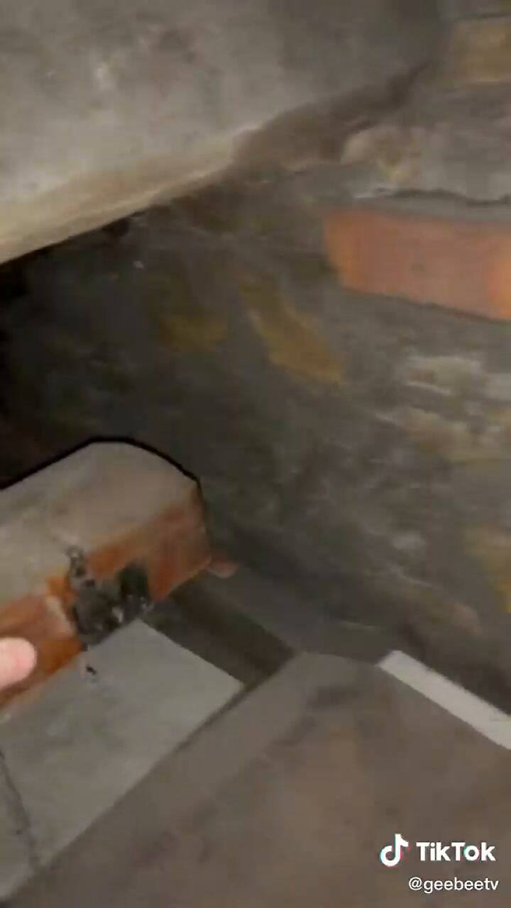 Encontró una extraña caja enterrada en su patio y el contenido lo dejó sin palabras