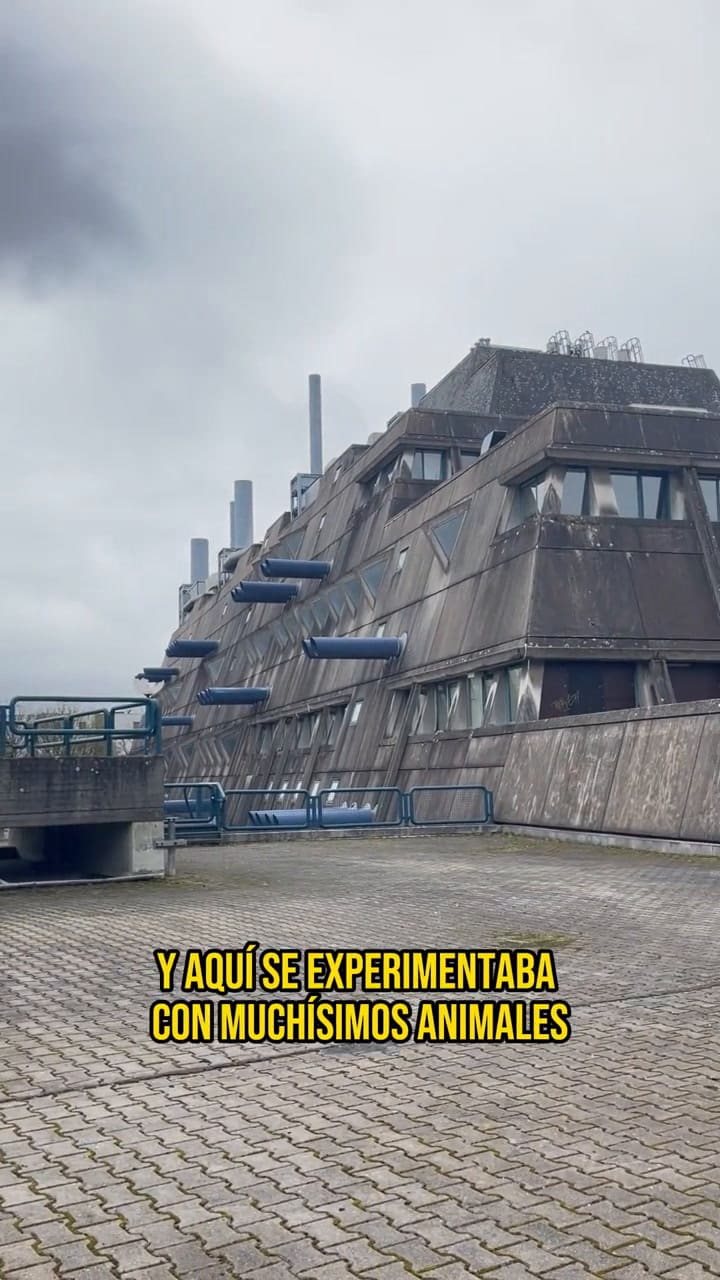 Lugares abandonados: el Mäusebunker
