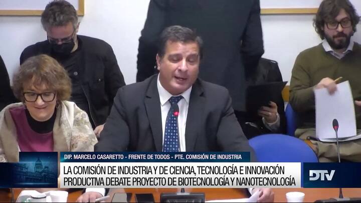 Diputados