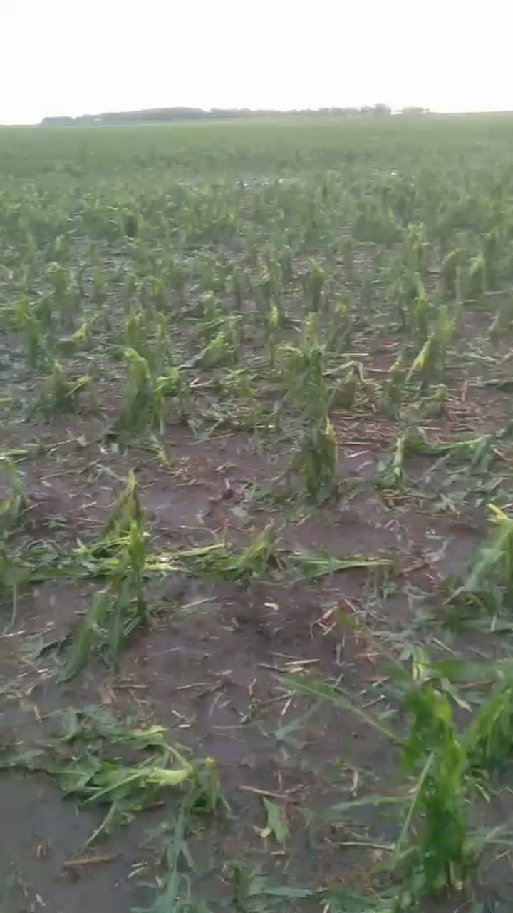 Granizada