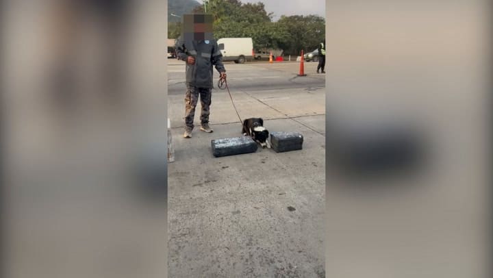 Droga Salta