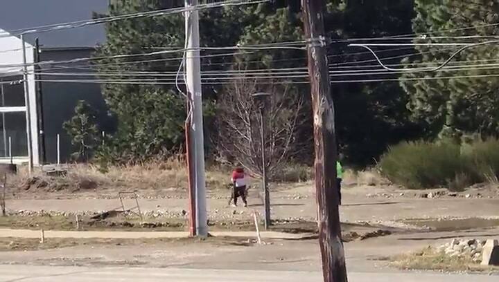 Salió a pasear a su perro en Bariloche y fue detenida violentamente por cinco policías - Fuente: TW