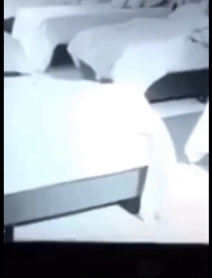 Se viralizó un video en el que Gran Hermano le habría pedido a Alfa y Camila “dar el consentimiento”