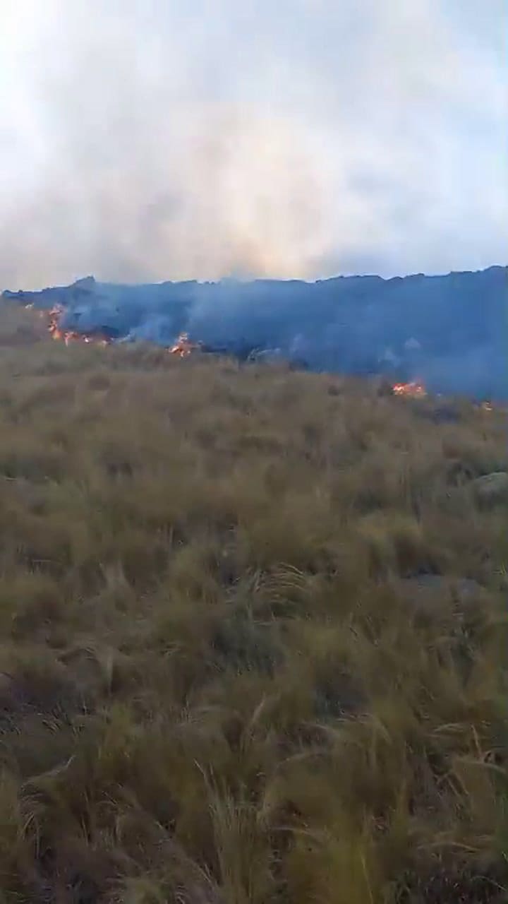 Incendios en Córdoba