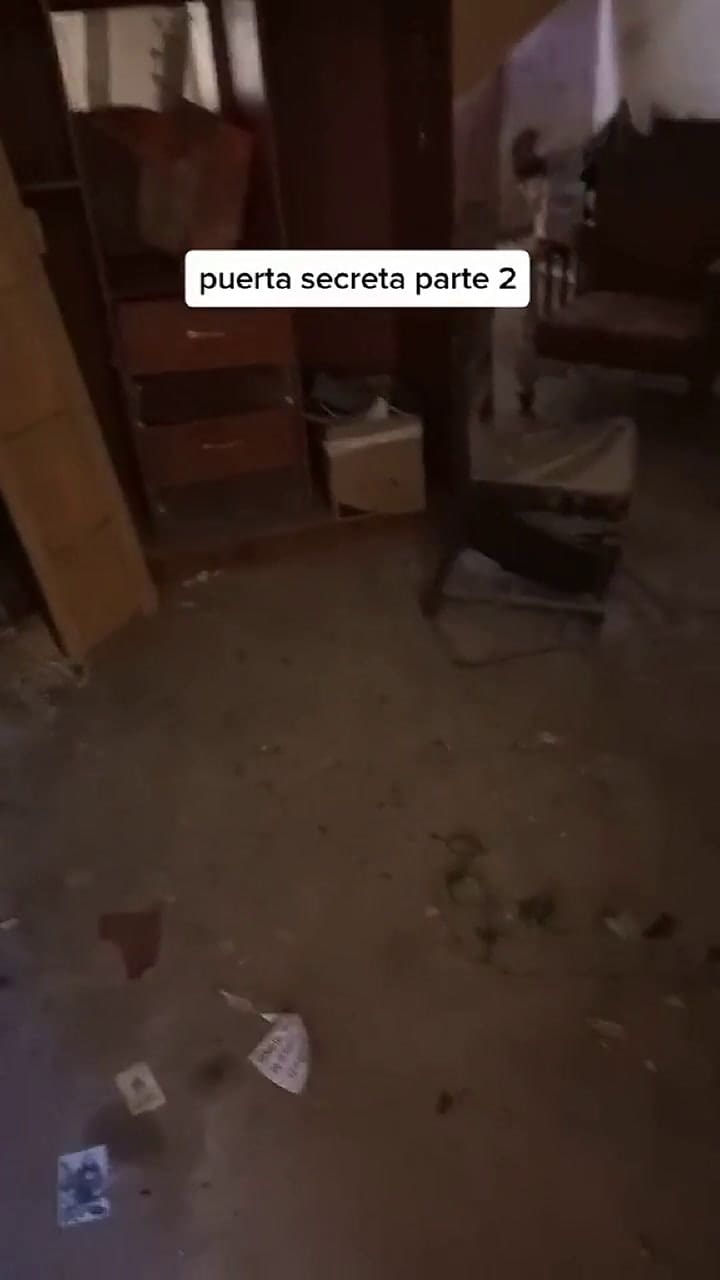 Los objetos y roedores que encontró en el interior del lugar