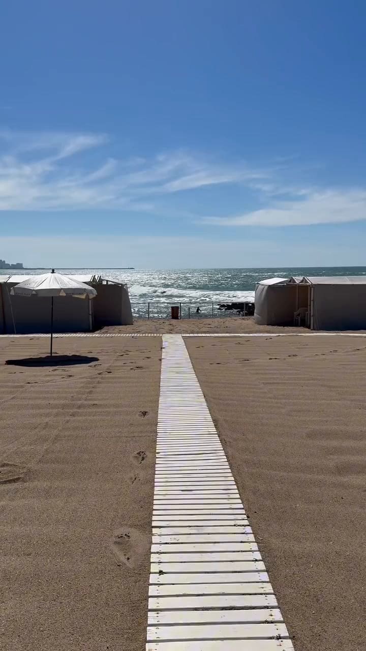 Las carpas de Waikiki