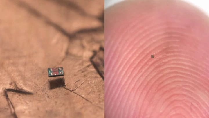 Así funciona el "robot" más chico que un grano de sal