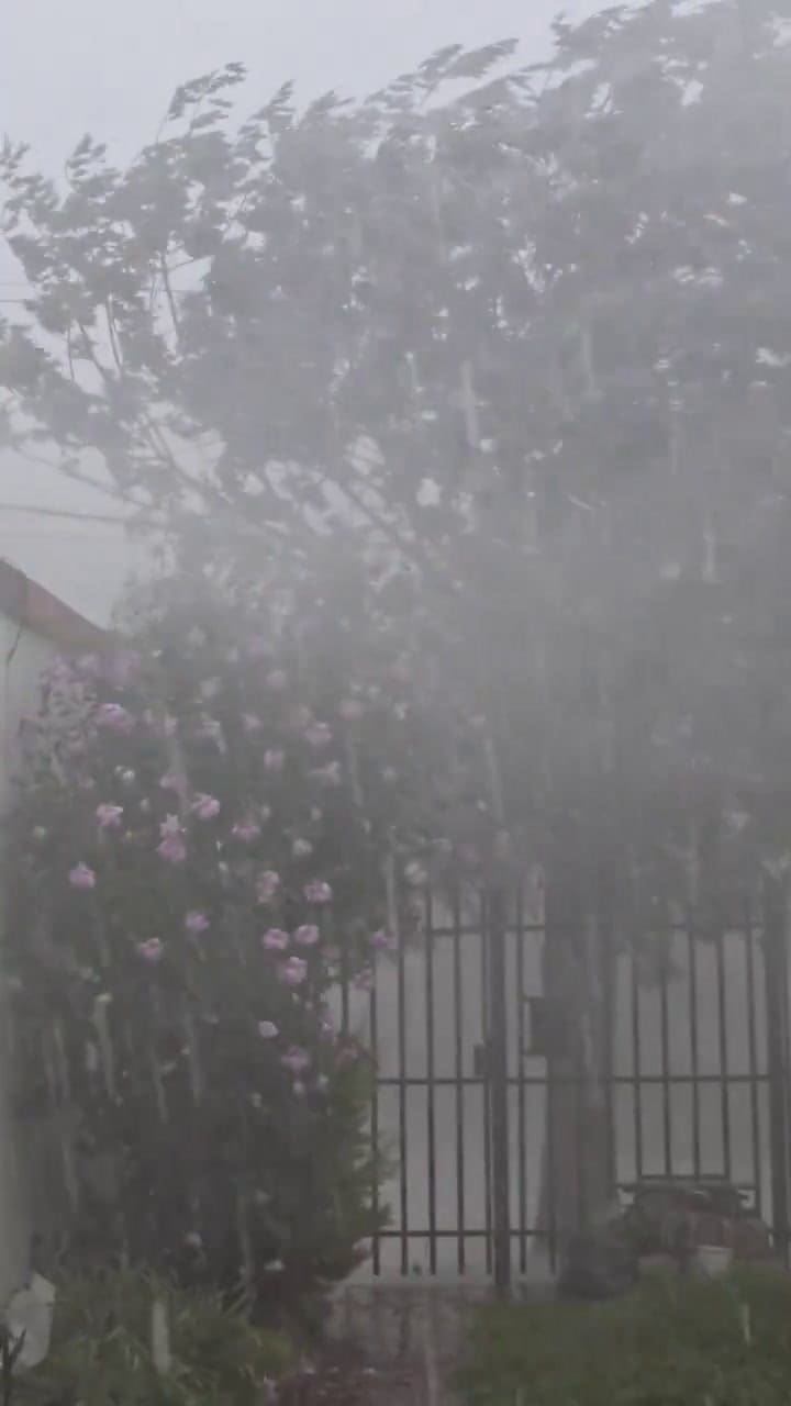 Video tormenta
