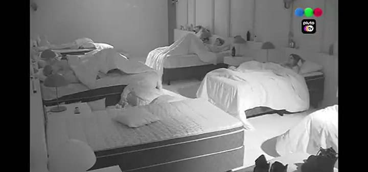 Tras el accidente del perrito, los participantes de Gran Hermano no pueden hablar sobre lo sucedido