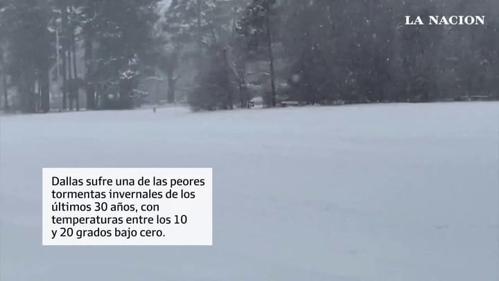 Dallas: diario de una argentina en el temporal