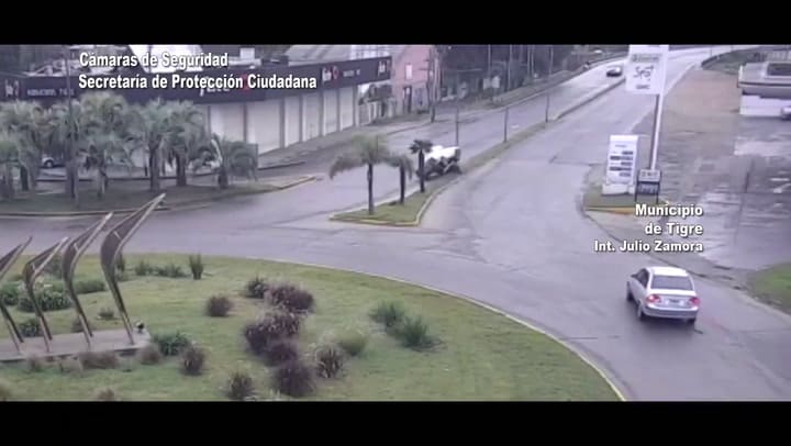 Tigre borrracho