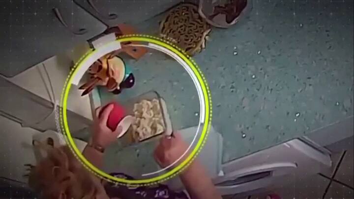 Descubren con una cámara oculta que la mujer que vivía en su casa los envenenaba