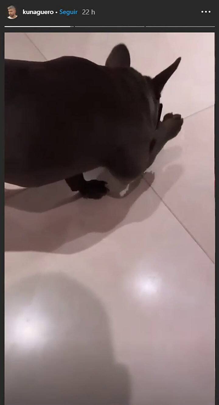 La broma 'maldita' del Kun Agüero a su perro con el barbijo - Fuente: IG Stories