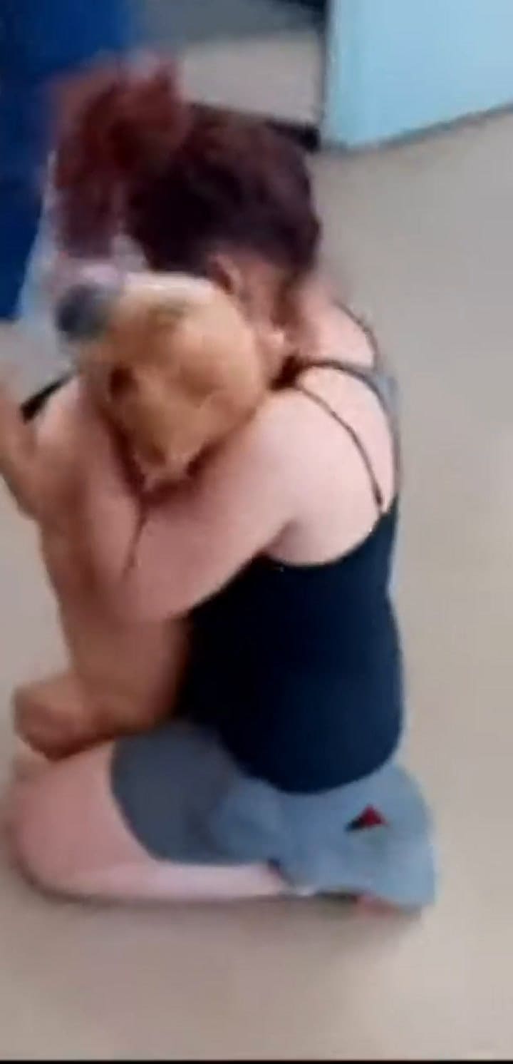Reencontró a su mascota perdida hace dos años cuando fue a adoptar a otro perro.