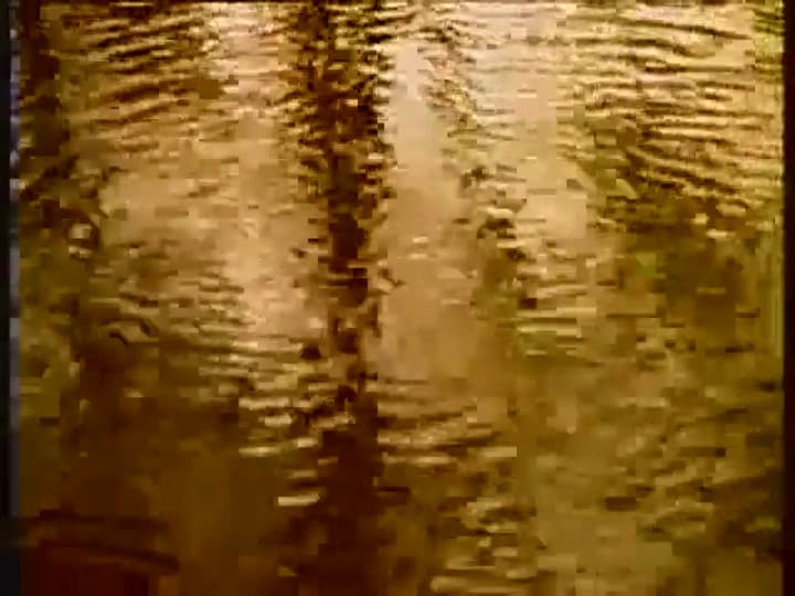 Animal Collective - Who could win a rabbit - Fuente: Youtube
