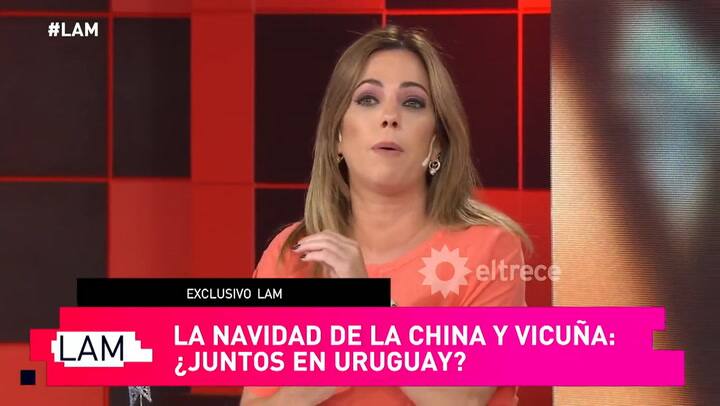 La revelación sobre Vicuña y Suárez