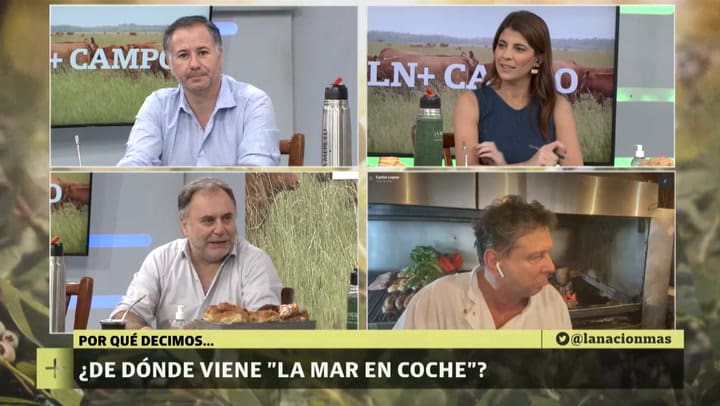 LN+ Campo Dicho