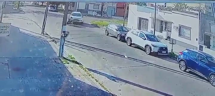 Snaptwitter P1o4obpv-o-3xa4w.mp4