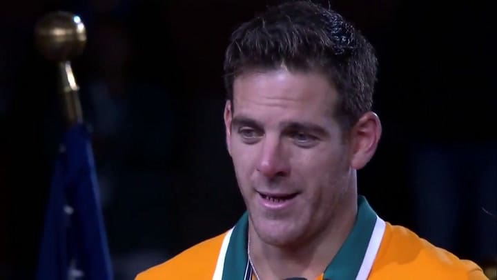 Del Potro a Djokovic: 'Te merecías ganar' - Fuente: Twitter