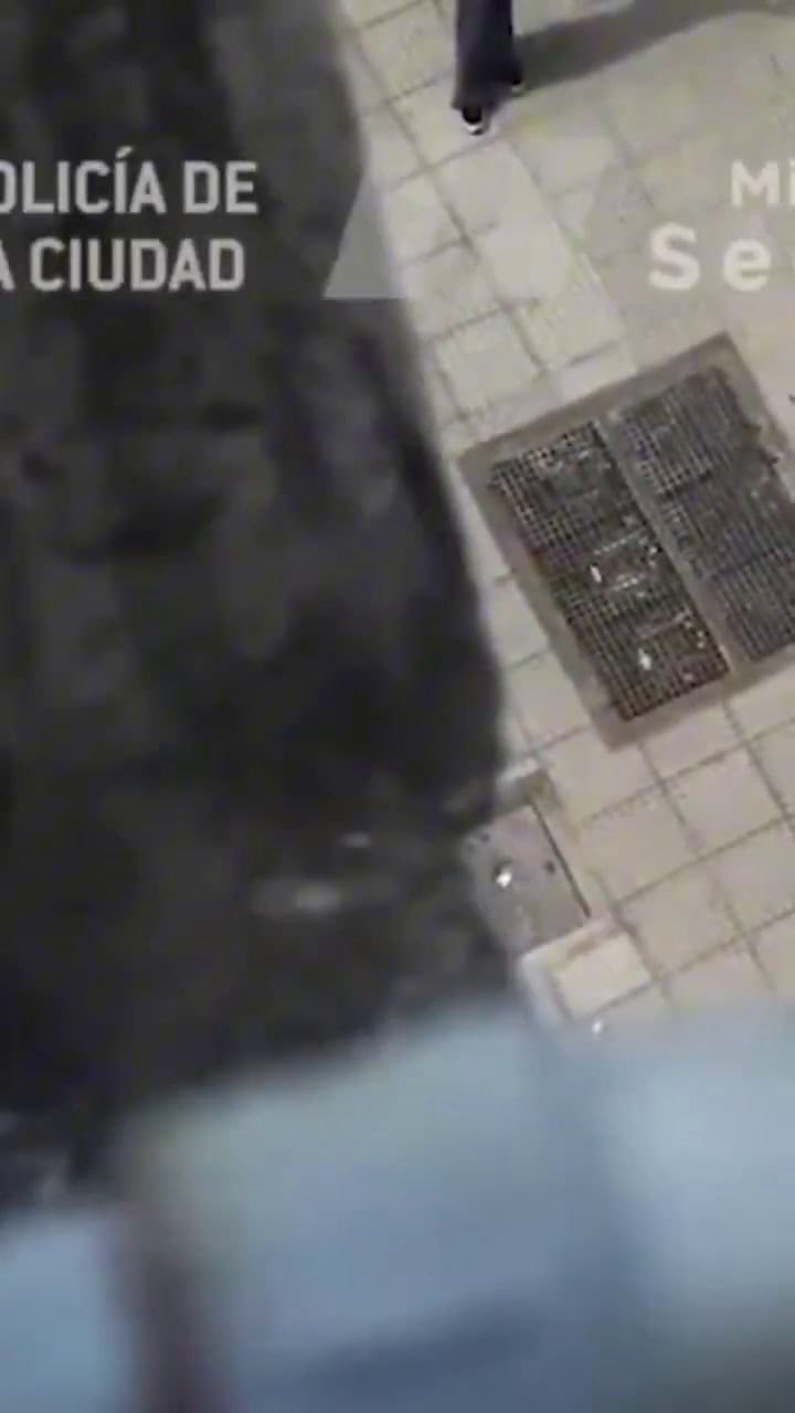 Robó una cadena de oro a una turista en la Catedral y fue detenido