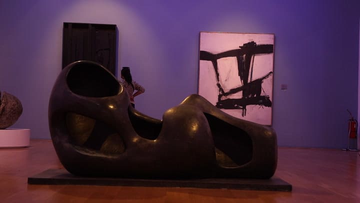 Museo Nacional Bellas Artes (parte 2)