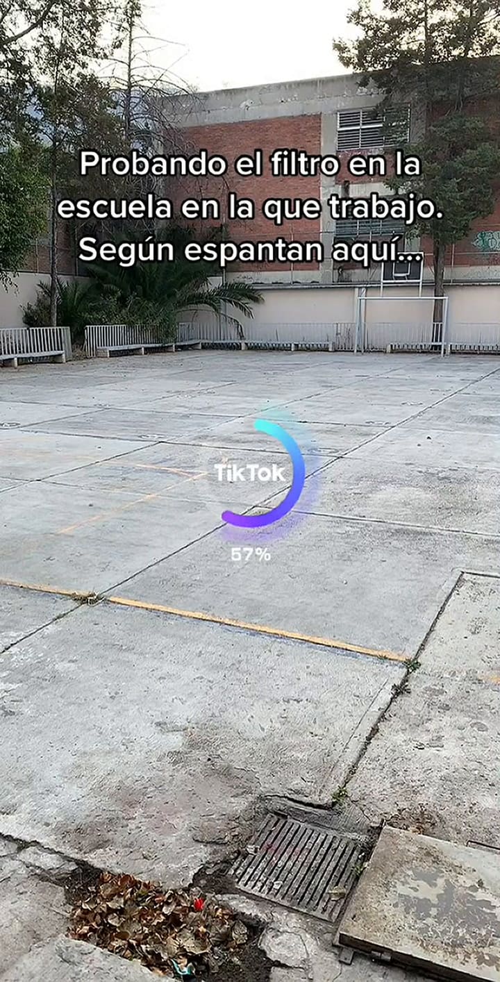 Probó un filtro y se quedó mudo cuando vio el resultado