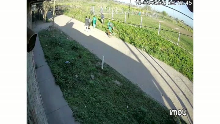 Copia De Camarasegurida